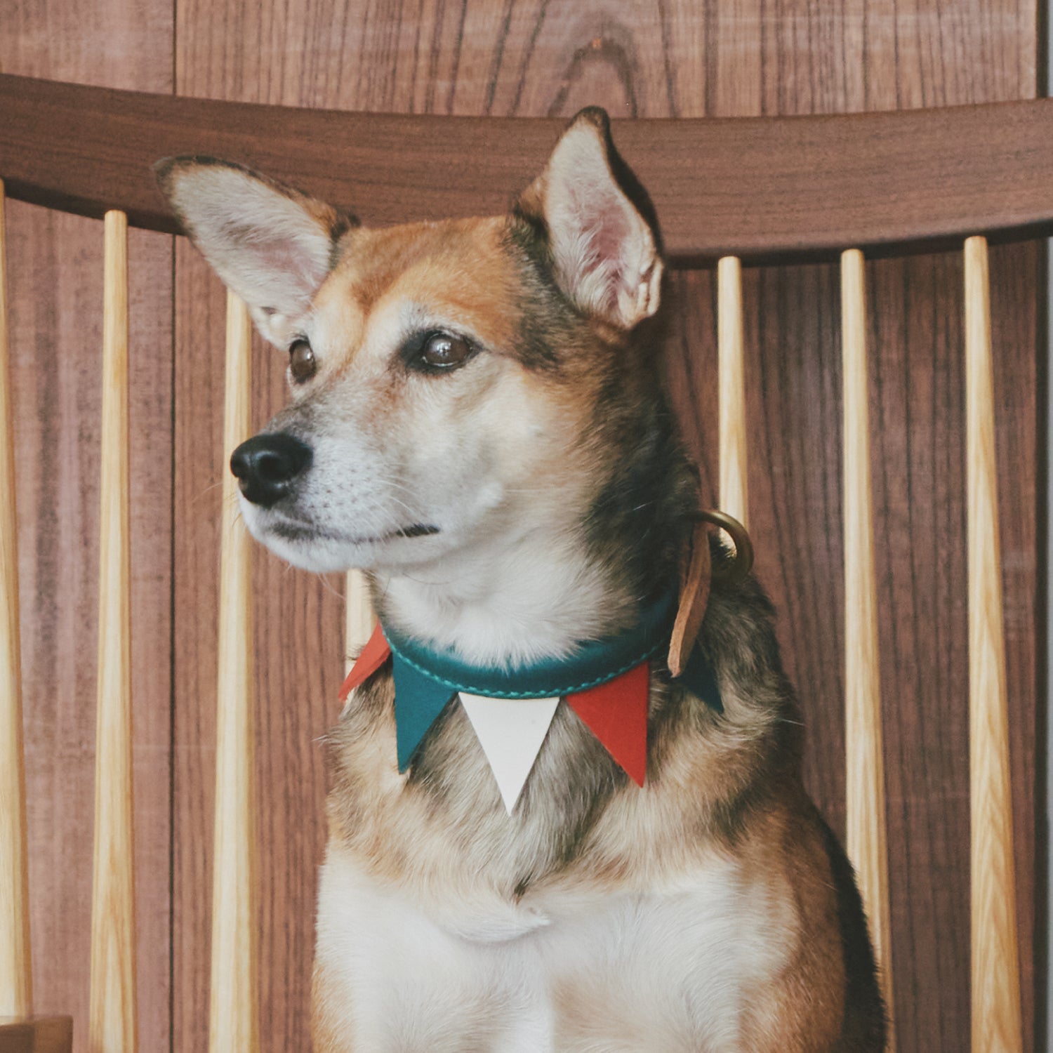 FLAG – ikoyan for doggy